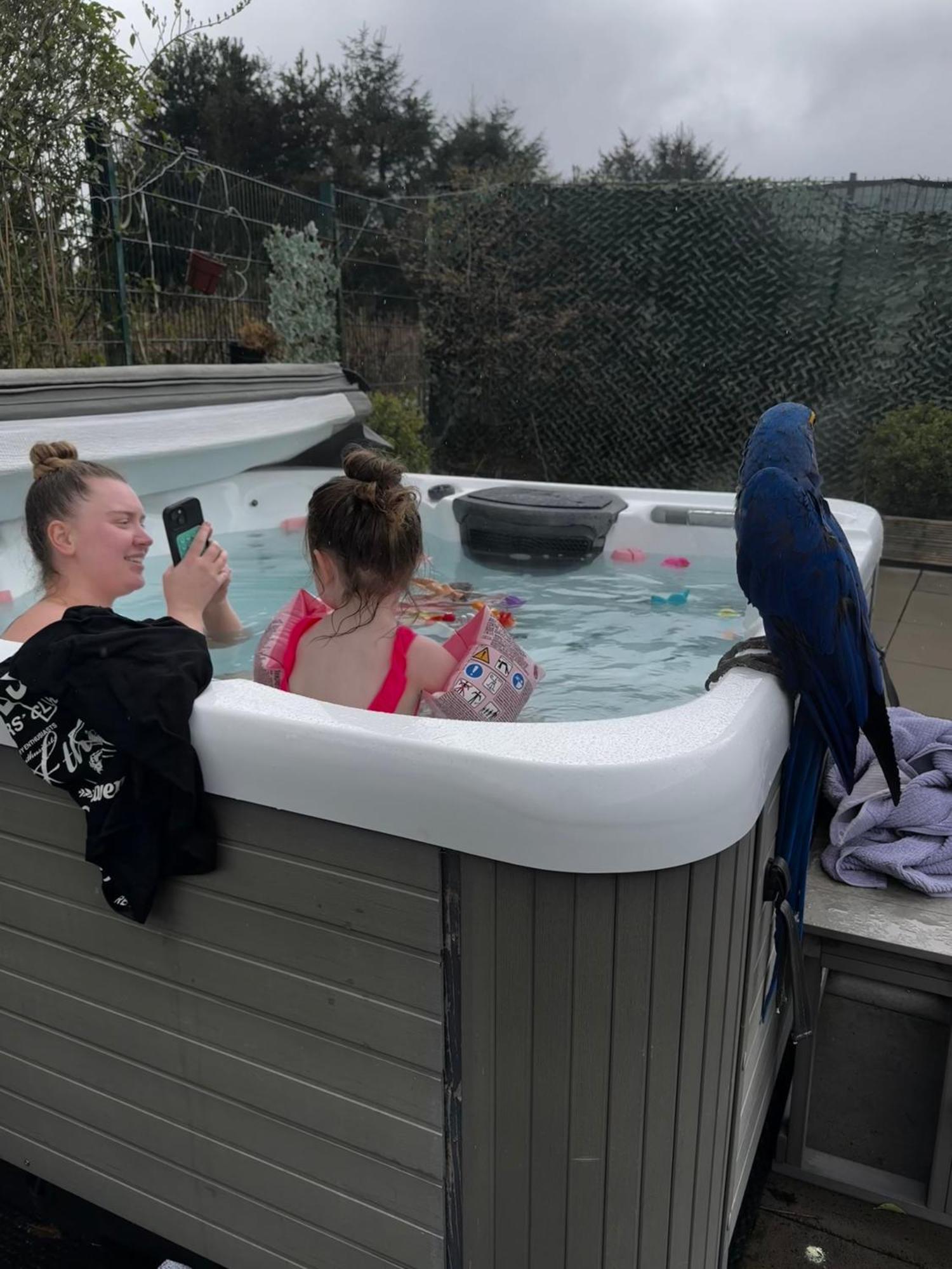Bumble's Barn Holiday home Slamannan